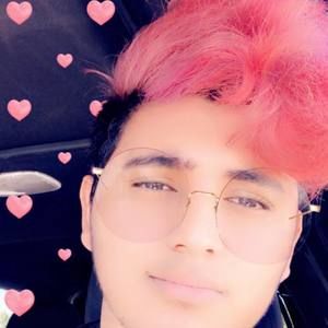 Meet your Posher, Archie